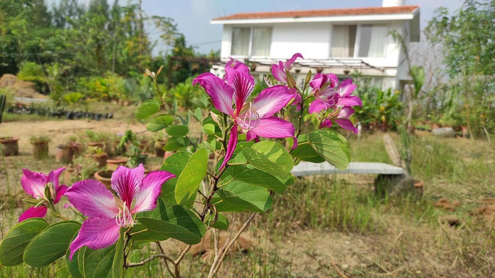 Vaksana Farm Stay Gudraippattu Exteriér fotografie