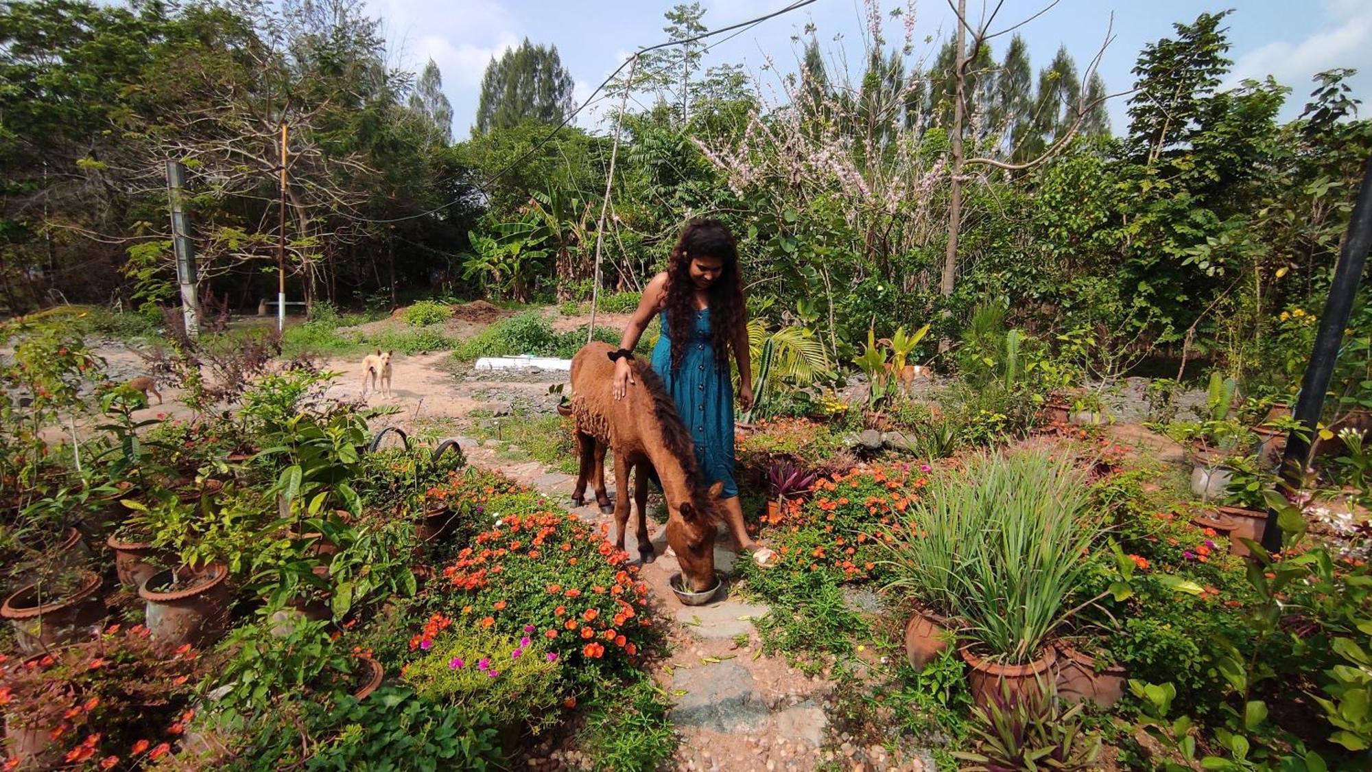 Vaksana Farm Stay Gudraippattu Exteriér fotografie