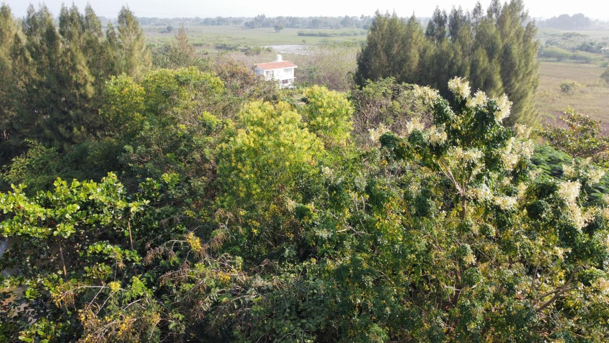 Vaksana Farm Stay Gudraippattu Exteriér fotografie