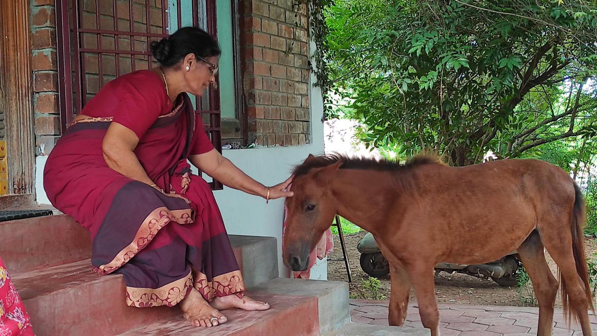 Vaksana Farm Stay Gudraippattu Exteriér fotografie