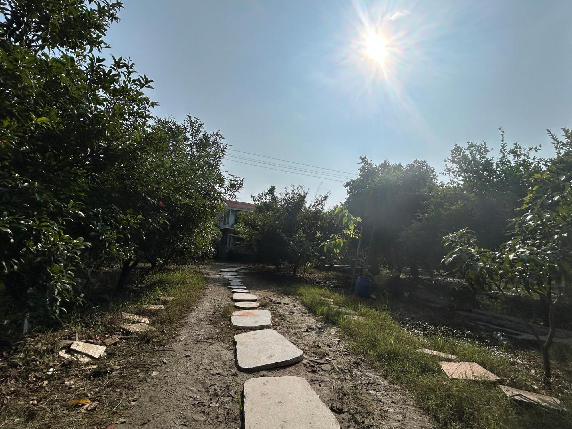 Vaksana Farm Stay Gudraippattu Exteriér fotografie